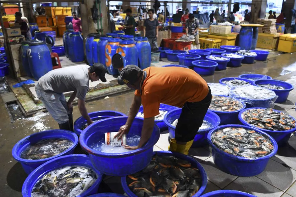 Sambut Bulan Ramadan, KKP Pastikan Stok Ikan Tercukupi