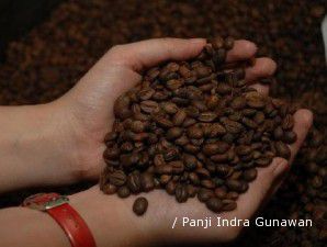 Tekan penurunan produksi, Kementan upayakan peremajaan tanaman kopi