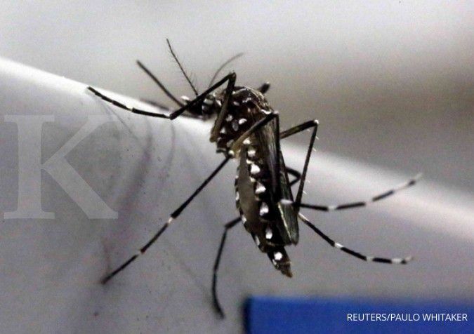 China temukan kasus pertama virus Zika 
