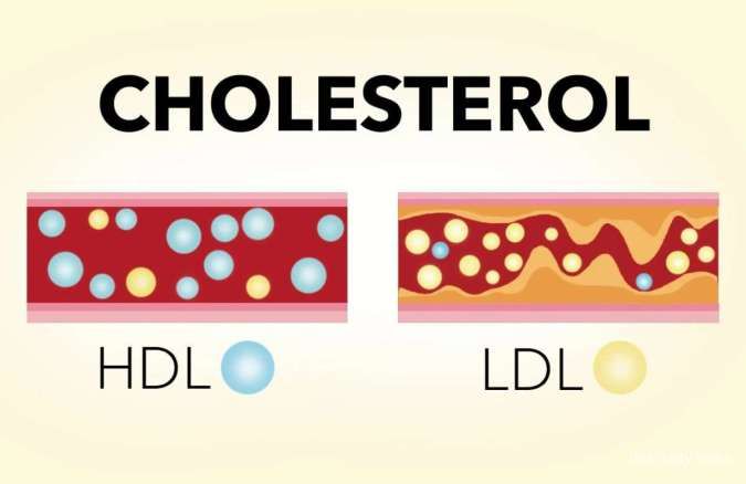 7 Tips Menurunkan Kolesterol Akibat Terlalu Banyak Makan Daging