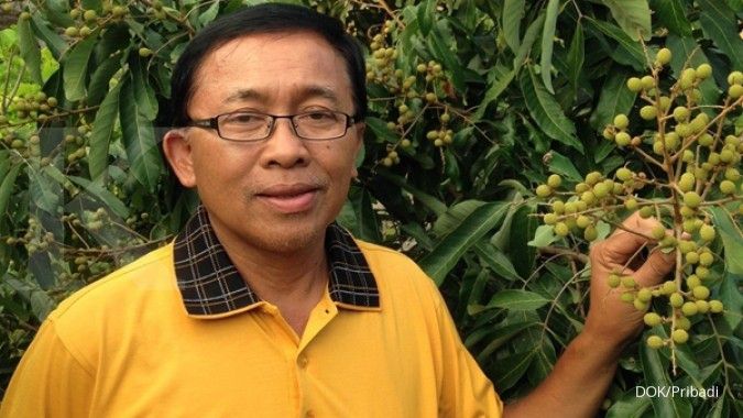 Isto menikmati manisnya kelengkeng itoh