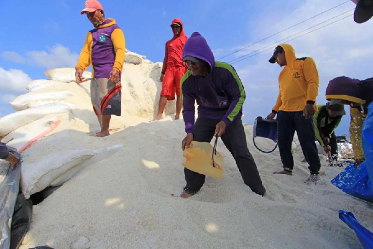 Pemerintah Akan Impor 2,4 Juta Ton Garam pada 2024 