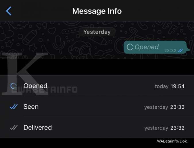 WhatsApp Disappearing Message/View Once di iPhone