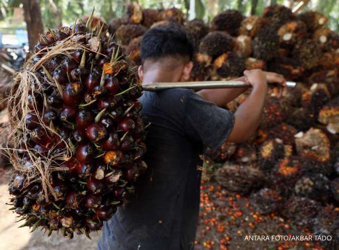 Kementan Dorong Produktivitas Sawit untuk Dukung Implementasi b50