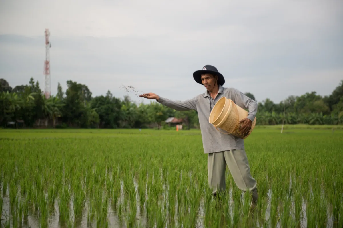 Kembangkan Inovasi Pangan, Bukit Asam Usung Program “Ruang Rural”