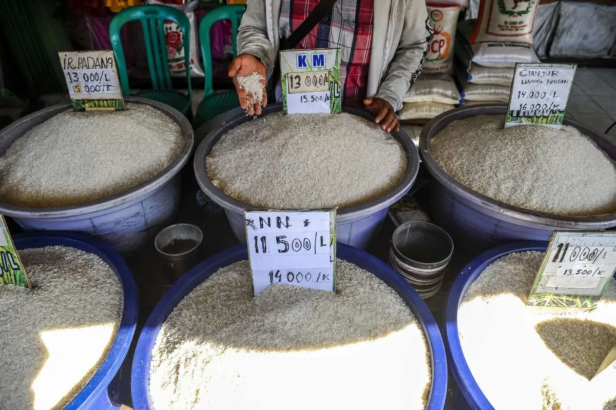 BPS Wanti-Wanti Kenaikan Harga Beras pada Minggu Kedua Februari 2024 Sumbang Inflasi