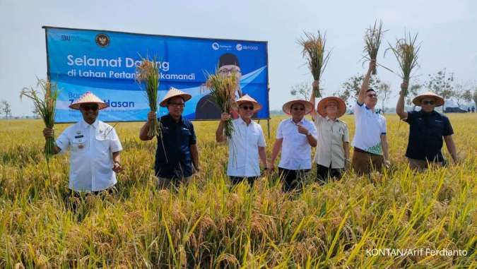 Tinjau Pembibitan Padi di Subang, Zulhas Ungkap Persoalan Produksi Padi di Tanah Air