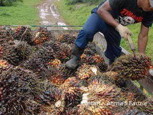 Targetkan Laba Rp 20 M, PTPN II Genjot Produksi CPO