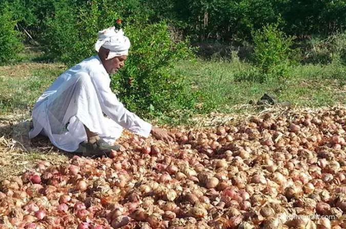 India Imposes 40% Export Duty on Onions with Immediate Effect