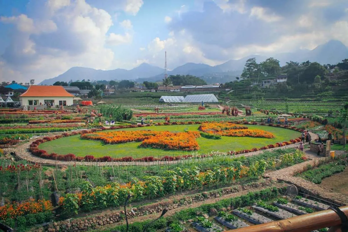 Kebun Bunga Refugia, tempat wisata teranyar di Magetan