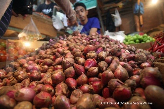 Perum Bulog investasikan Rp 25 miliar untuk penyimpanan bawang merah