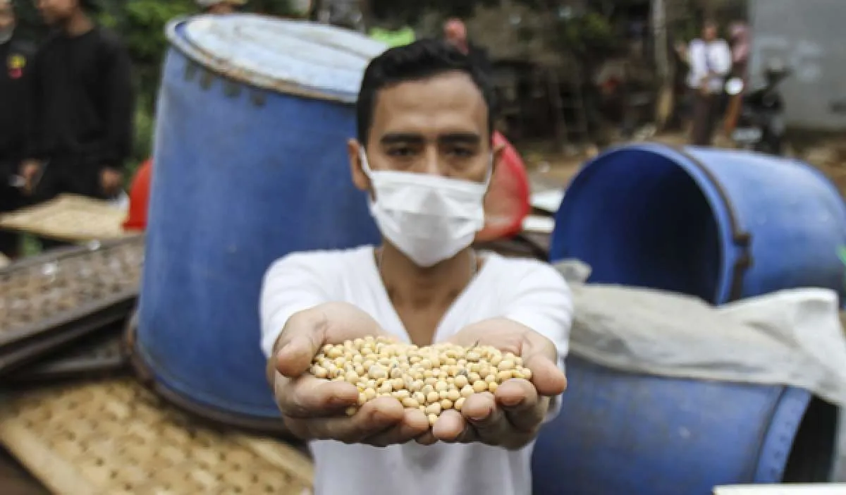 Seknas Jokowi: Pemerintah Harus Atasi Krisis Tahu Tempe dan Dorong Swasembada Kedelai