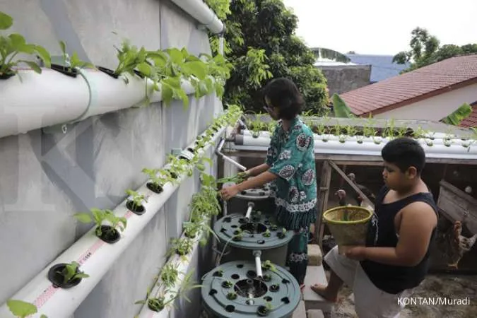 10 Tips Menjual Tanaman Hidroponik ke Restoran, Cek Ulasan Lengkapnya di Sini!
