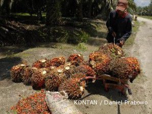 Indonesia butuh tambahan 100 unit pabrik pengolahan sawit