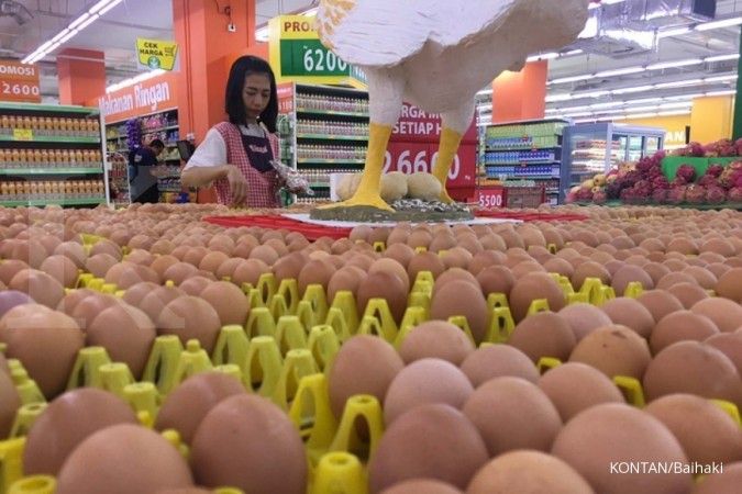 Harga telur ayam belum memenuhi harapan peternak