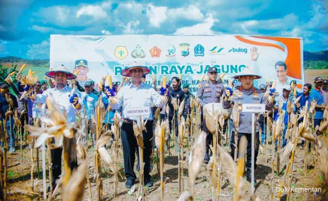 Pemerintah Siapkan Rp 5 Triliun untuk Menyerap 1 Juta Ton Jagung Produksi Petani
