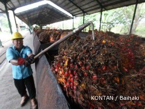 Bappepti: harga CPO terus naik 