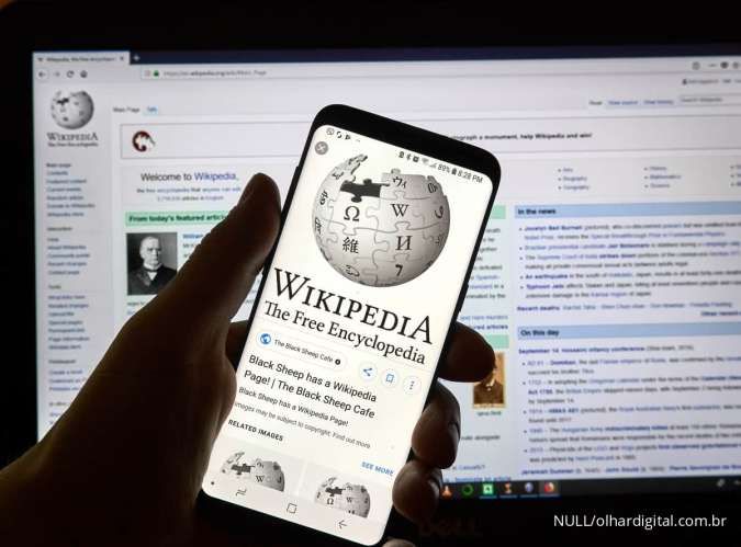 Wikipedia Terjerat Masalah Hukum di India