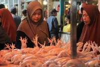 Harga Ayam Ras dan Minyak Goreng Kemasan Naik di Gorontalo, Senin (6/1)