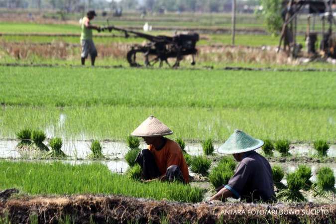 DPR Kawal Ketat Anggaran Ketahanan Pangan Rp164 Triliun di RAPBN 2026