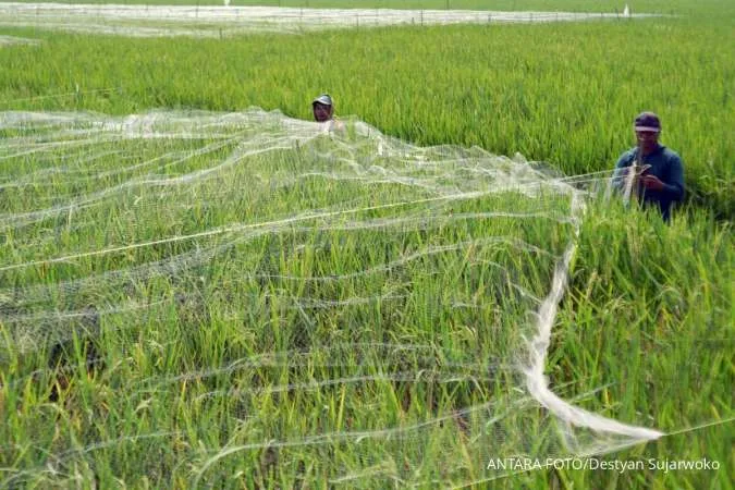 Ucapan Krida Pertanian 2026, Mari Apresiasi Pahlawan Pangan Indonesia