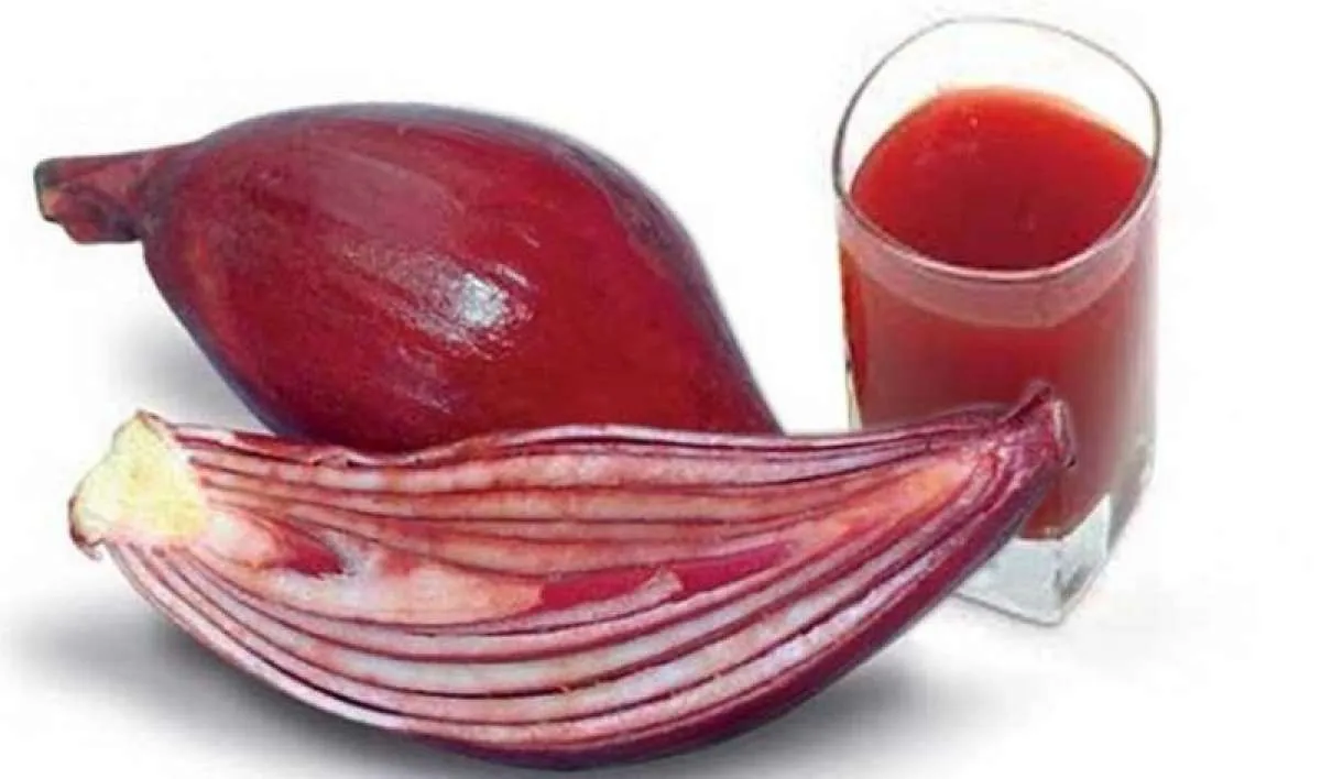 Bawang dayak bermanfaat mengobati diabetes melitus, begini cara konsumsinya