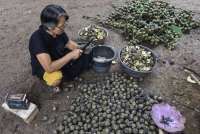 adwal Buka Puasa Ciamis Kamis (19/3): Mudik Lancar, Puasa Berkah!
