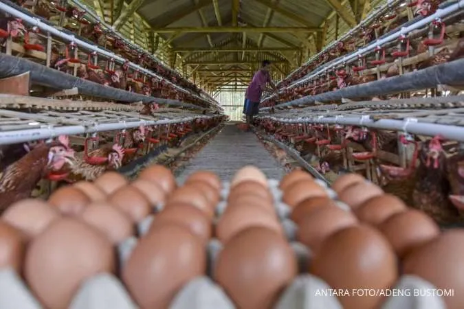 Telur Bertahan Berapa Lama di Luar Kulkas?