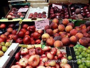 Ekspor buah Indonesia masih terkendala ulat buah