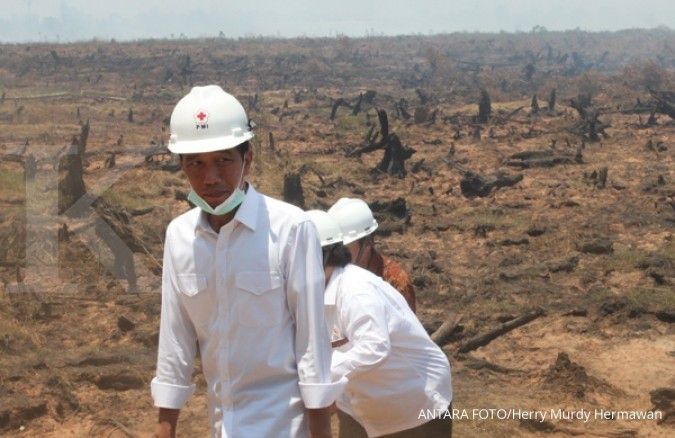 Jokowi minta penanganan bencana asap dipercepat