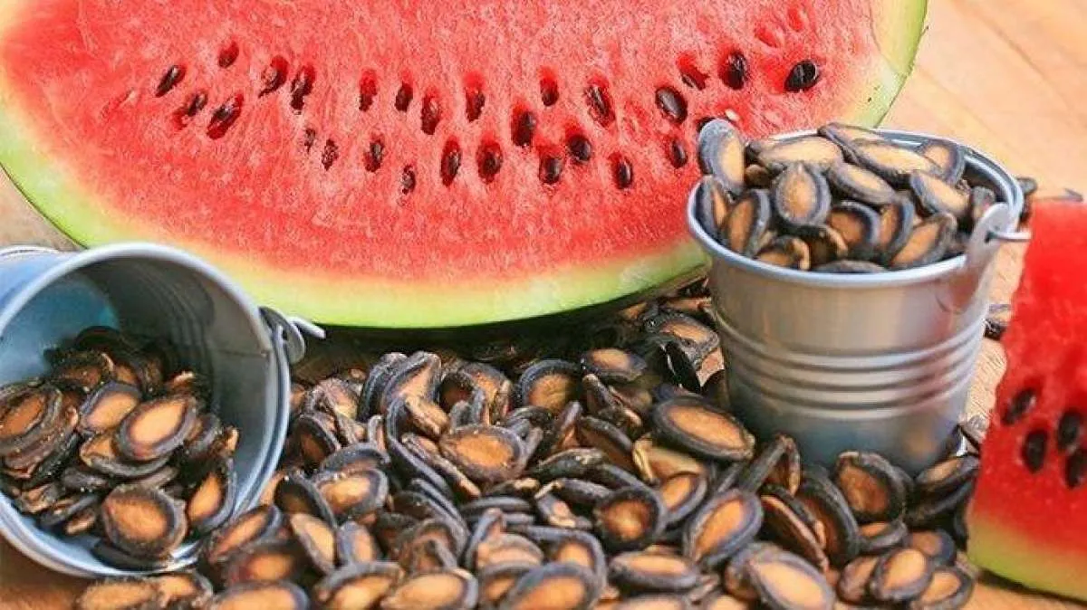 5 Manfaat Biji Semangka untuk Kesehatan, Salah Satunya Mengontrol Gula Darah