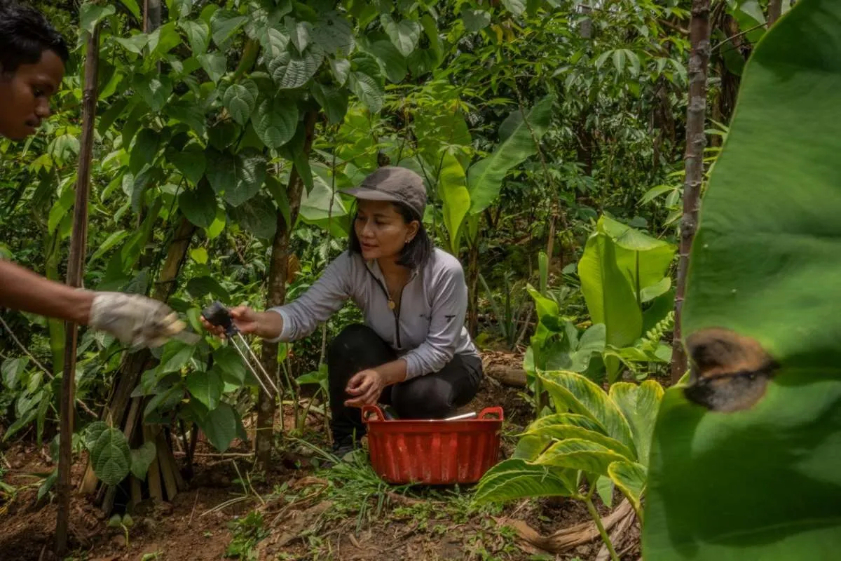 Menyoroti Inovasi Pertanian Regenaratif Berbasis AI di Indonesia