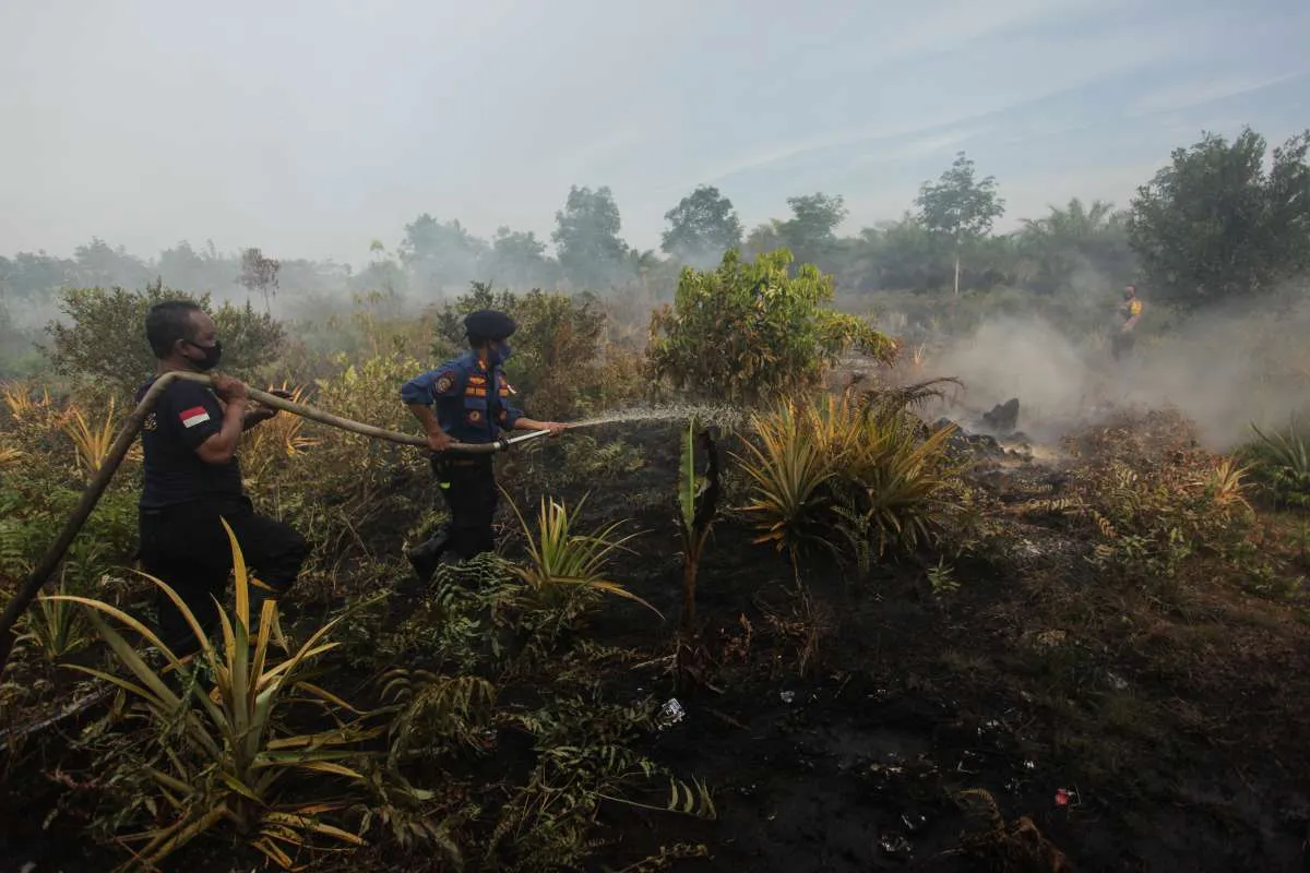 Mahfud MD: Pemerintah komitmen antisipasi kebakaran hutan tahun ini