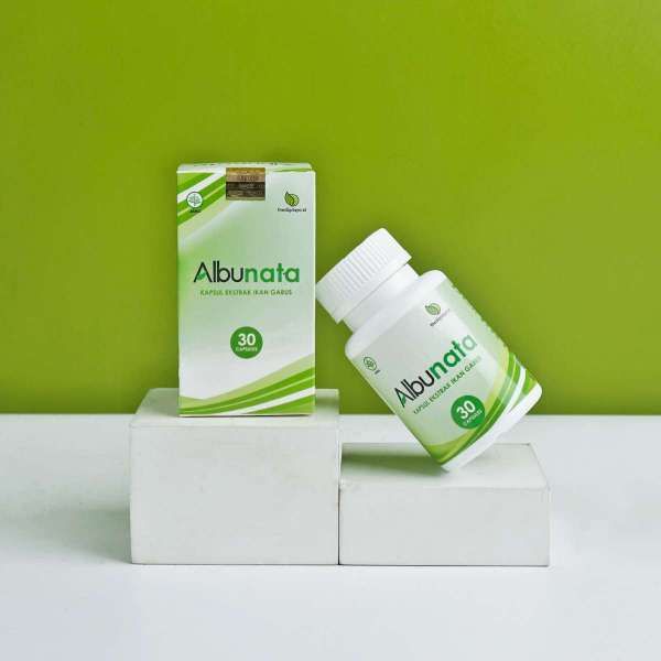 Manfaat Ekstrak Ikan Gabus untuk Penyembuh Luka