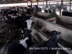 Fonterra: Harga susu mencapai rekor tertinggi dalam 7 bulan