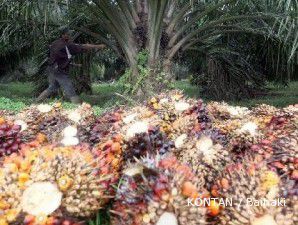 Laba bersih TBLA turun 47% di kuartal ketiga