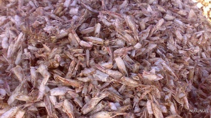 Penjualan pakan udang dan ikan diramal melambung