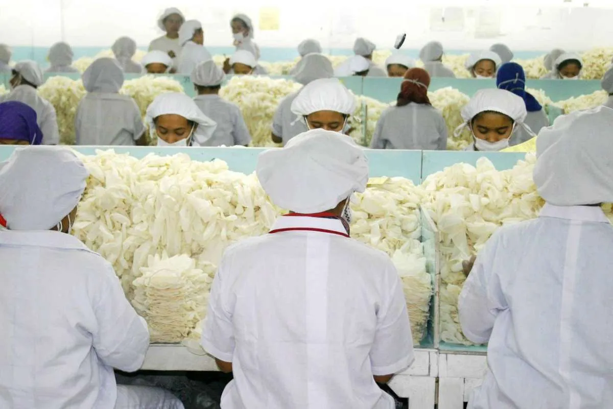 Mau IPO, Maja Agung Latexindo Siap Incar Pasar Sarung Tangan Global