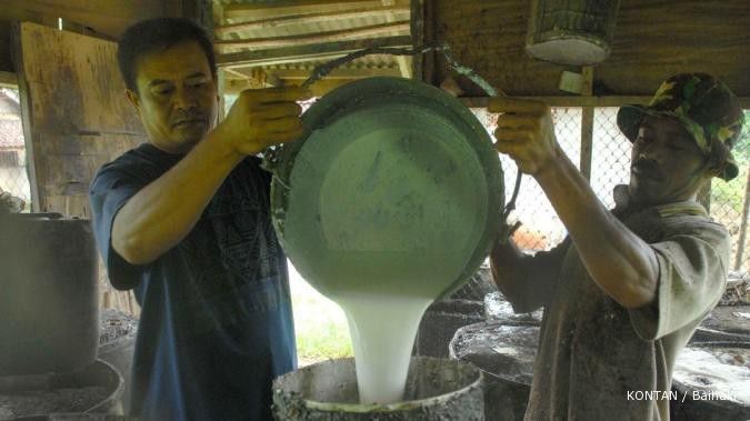 Cuaca penghujan bikin produksi karet mengendur