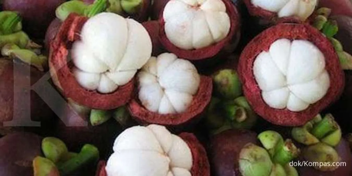 Ayo Simak 7 Manfaat Manggis untuk Kesehatan Tubuh yang Terbukti Klinis