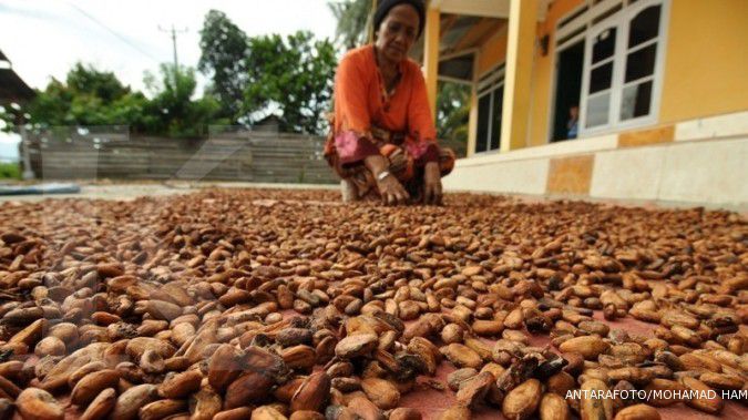 Kenaikan harga kakao tak menguntungkan petani