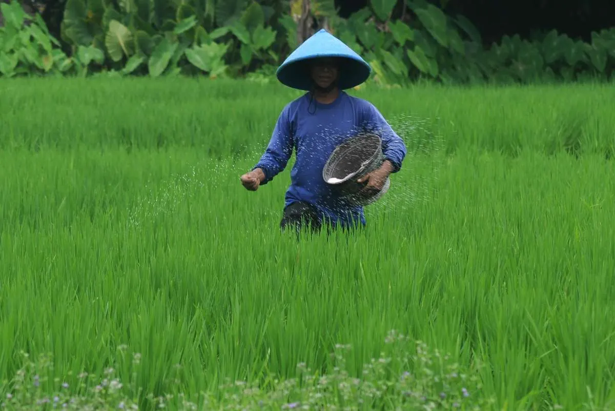 Klik Latihanonline.pertanian.go.id Untuk Daftar Petani Milenial