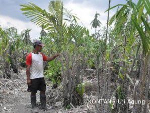 Warga Merapi yang direlokasi dapat dana Rp 30 juta per KK