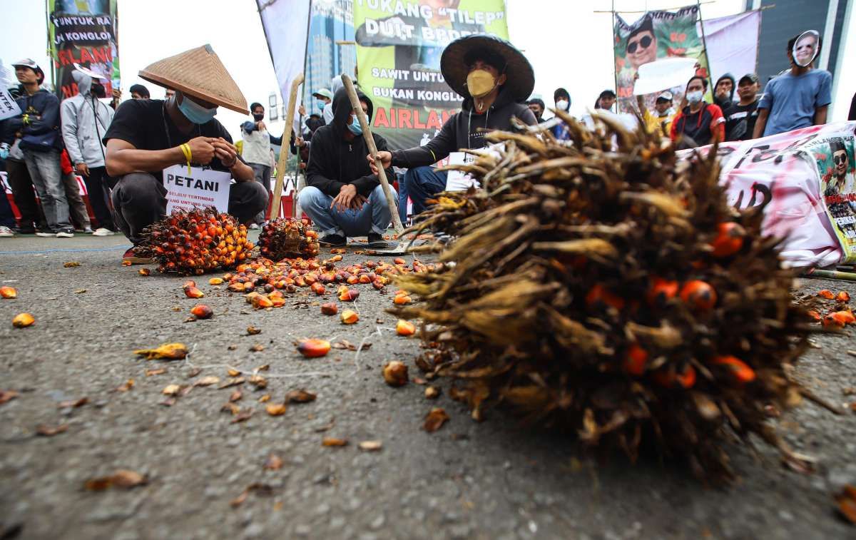 Unjuk Rasa Usut Tuntas Mafia Minyak Sawit 