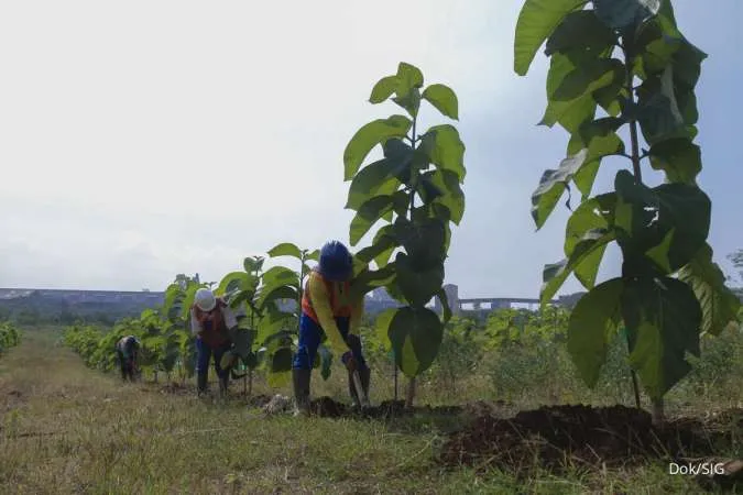 Prakiraan Cuaca Jawa Tengah Besok (2/9) Mayoritas Cerah, Cek Daerah yang Berawan