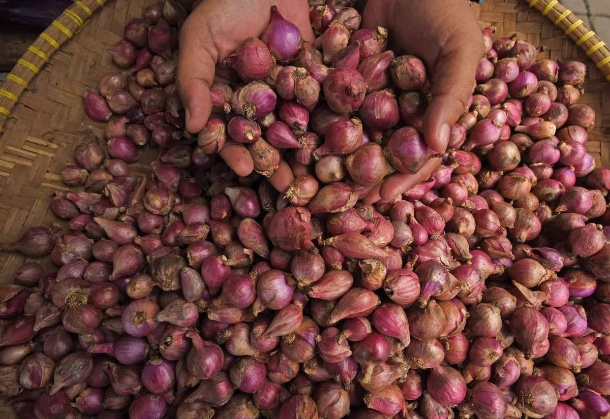 Tekan Harga Bawang Merah, IKAPPI Desak Pemerintah Percepat Distribusi ke Jabodetabek
