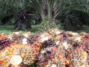 Dollar melemah, harga CPO kian melaju