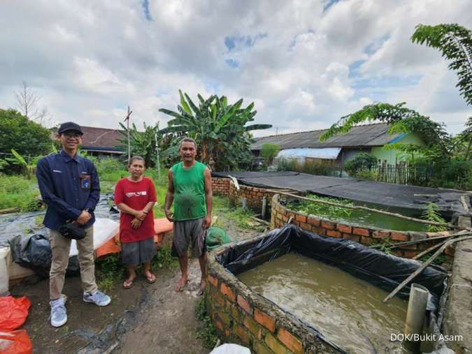 Sempat Jatuh, Usaha Ternak Lele Binaan Bukit Asam (PTBA) Bangkit dan Berkembang