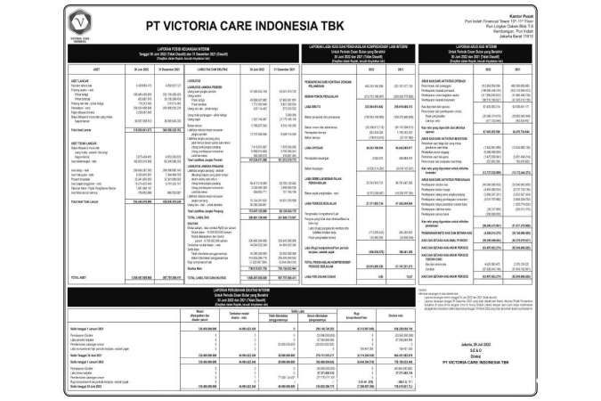 Laporan Keuangan PT Victoria Care Indonesia Tbk