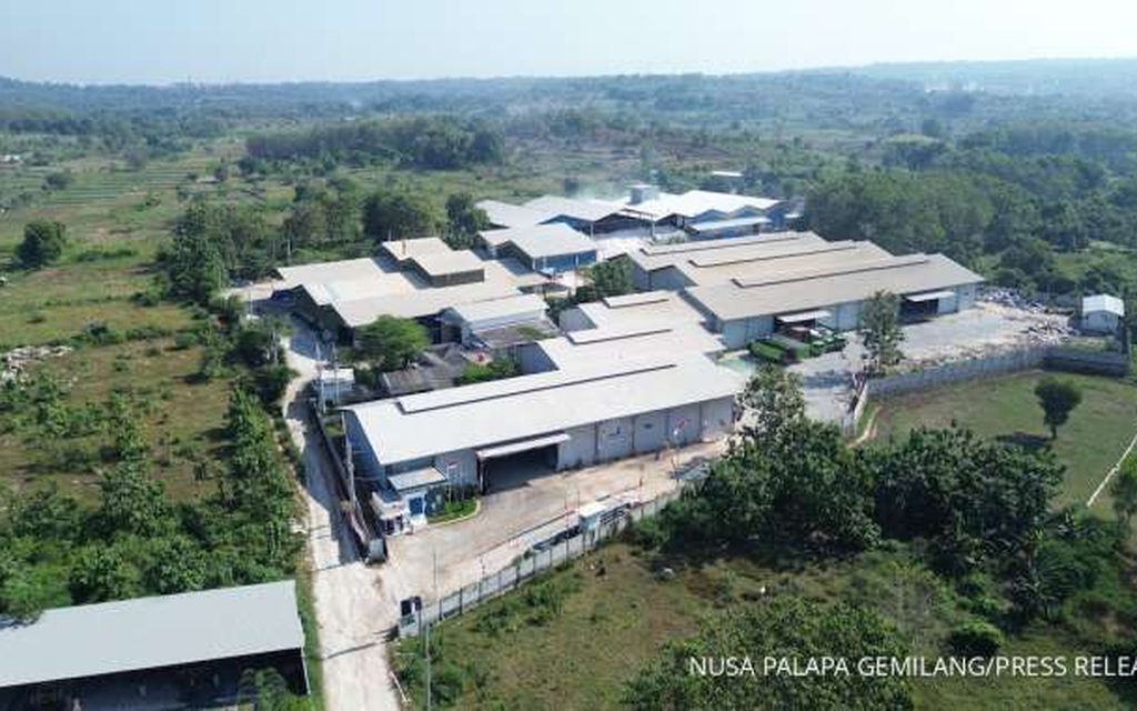  Kinerja NPGF Menguat, Penjualan Tumbuh 33,4% dan Produksi Melonjak 69% Tahun 2025 